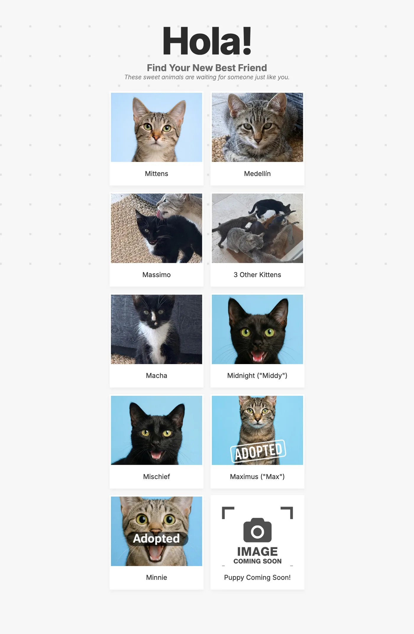 ForeverHomes.mx screenshot 2