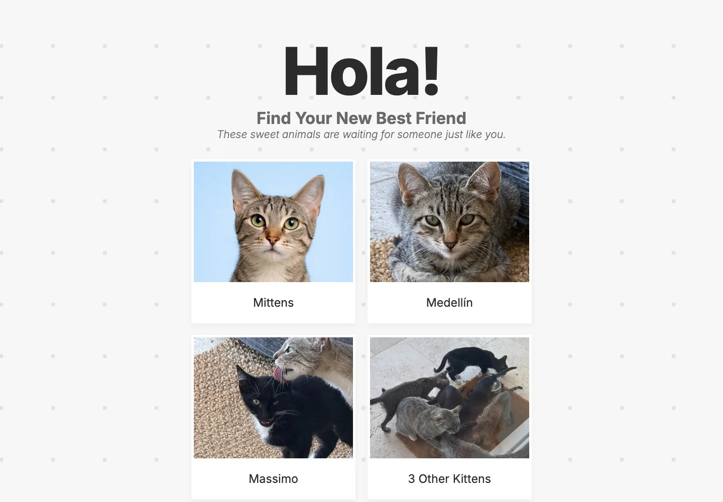 ForeverHomes.mx screenshot 1