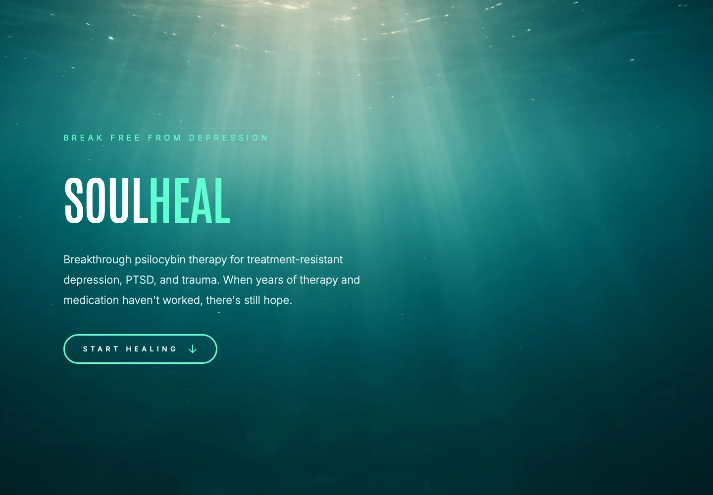 SoulHeal screenshot 1